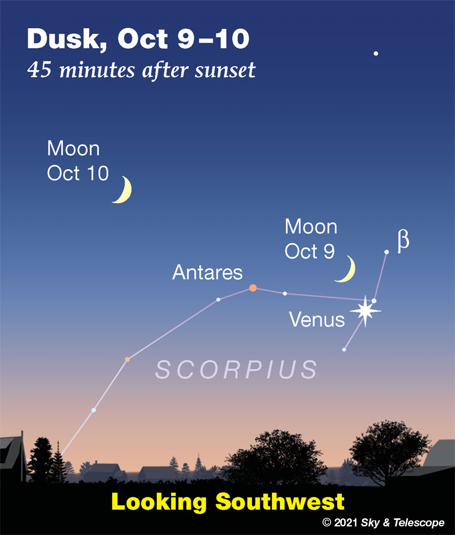 Crescent Moon with Venus in the head of Scorpius, Oct. 9, 2021