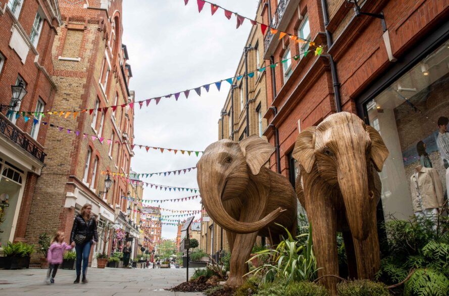 Two elephants on display in the streets of London