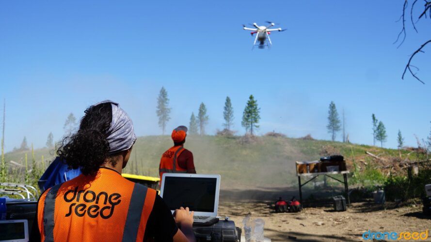 Workers flying drones in a burned forest area