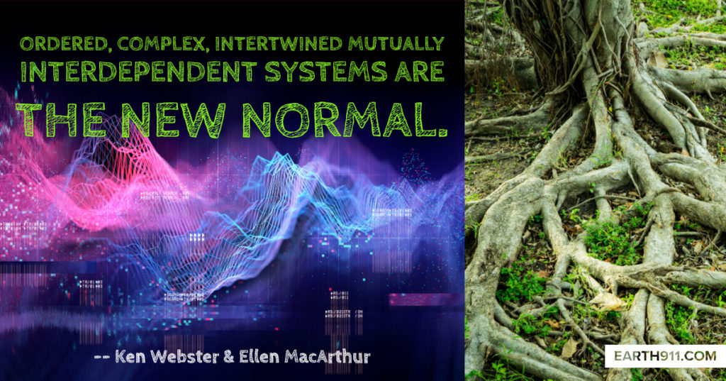 "Ordered, complex, intertwined mutually interdependent systems are the new normal." -- Ken Webster and Ellen MacArthur