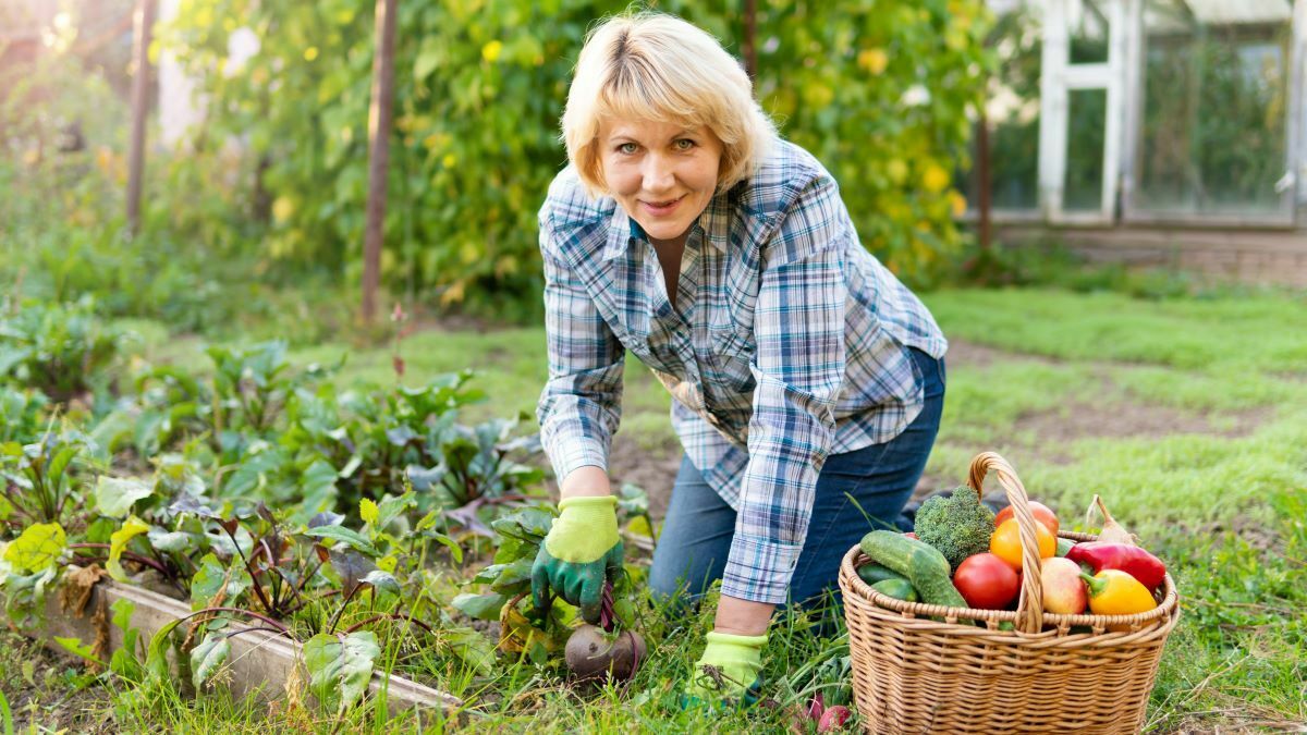 Woman working in backyard vegetable garden
