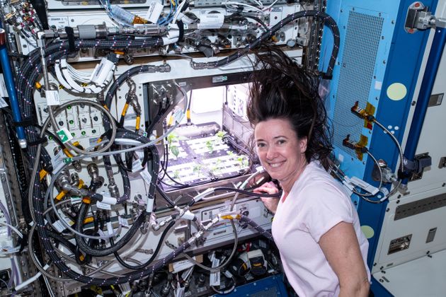 NASA astronaut Megan McArthur checks Hatch chile