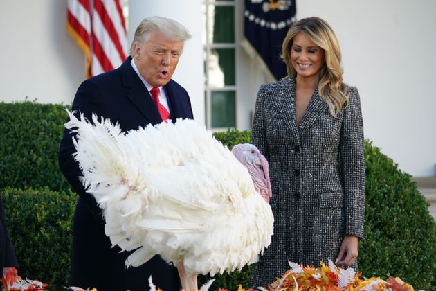 First lady Melania Trump (right), President Donald Trump and Corn the turkey at the 2020 turkey